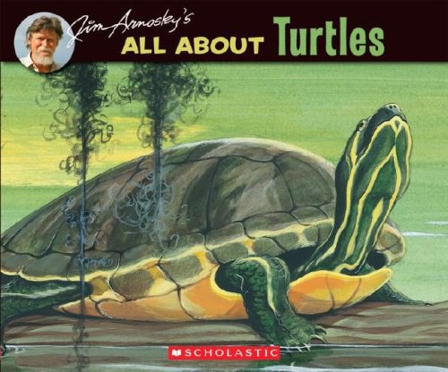 All about turtles /