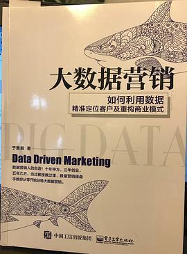大数据营销 如何利用数据精准定位客户及重构商业模式