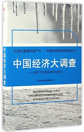 中国经济大调查 经济下行地区现状与应对