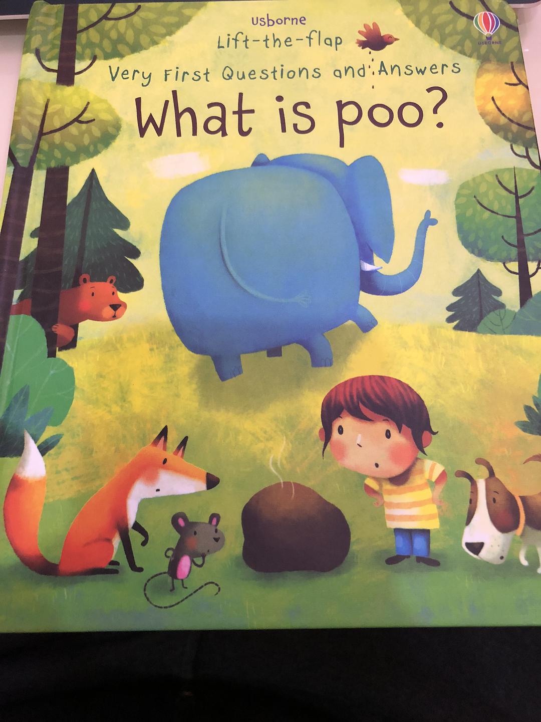 What is poo? /