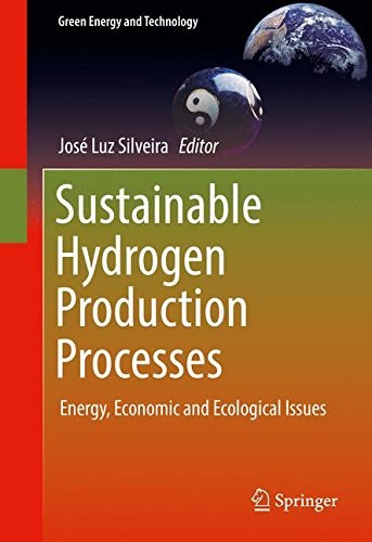 Sustainable hydrogen production processes : energy, economic and ecological issues /