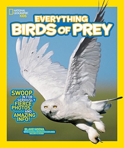 Everything birds of prey /