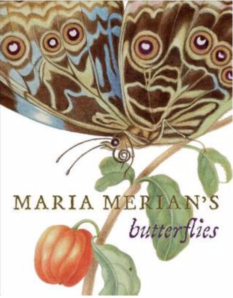 Maria Merian's butterflies /