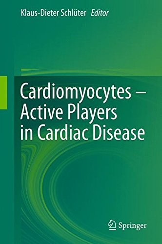 Cardiomyocytes : active players in cardiac disease /