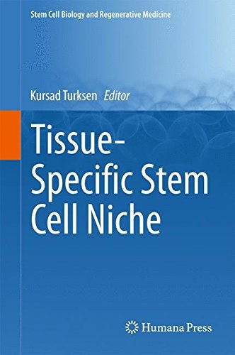 Tissue-specific stem cell niche /