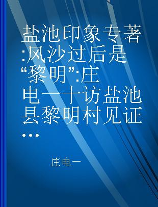 盐池印象 风沙过后是“黎明” 庄电一十访盐池县黎明村见证的奇迹