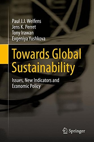 Towards global sustainability : issues, new indicators and economic policy /