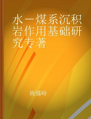 水－煤系沉积岩作用基础研究