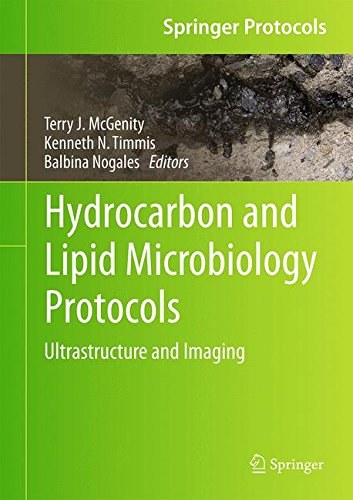 Hydrocarbon and lipid microbiology protocols : ultrastructure and imaging /