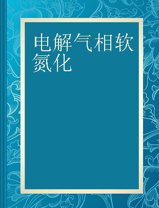 电解气相软氮化