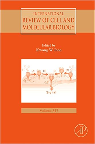 Handbook of epigenetics : the new molecular and medical genetics /