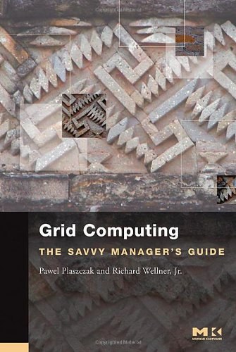 Grid computing : the savvy manager's guide /