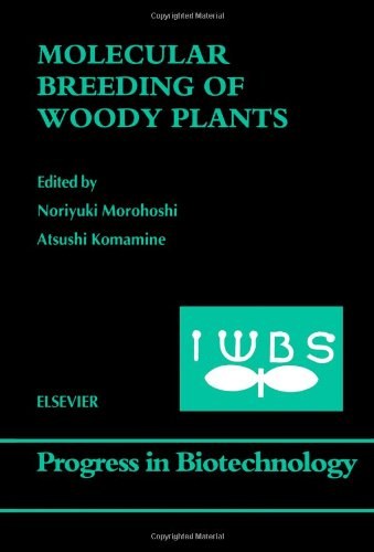 Molecular breeding of woody plants : proceedings of the International Wood Biotechnology Symposium (IWBS) held in Narita, Chiba, Japan, March 14-17, 2001 /