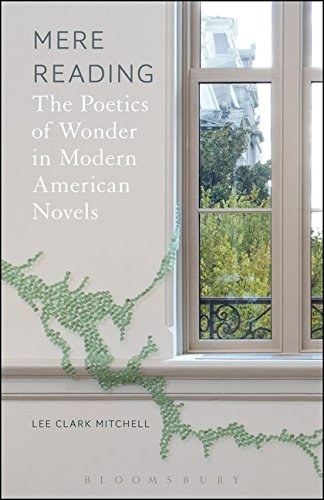 Mere reading : the poetics of wonder in modern American novels /