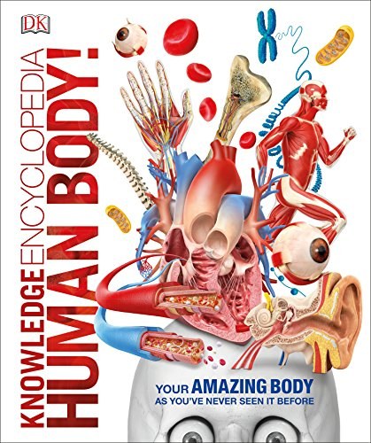 Knowledge encyclopedia : human body! /