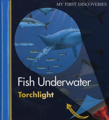 Fish underwater /