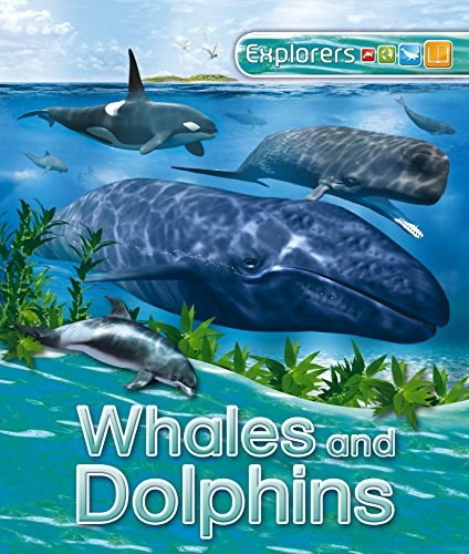 Whales and Dolphins /