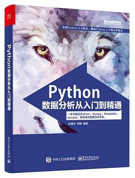 Python数据分析从入门到精通