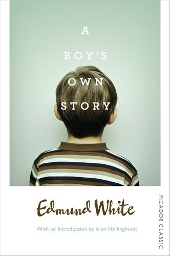 A boy's own story /
