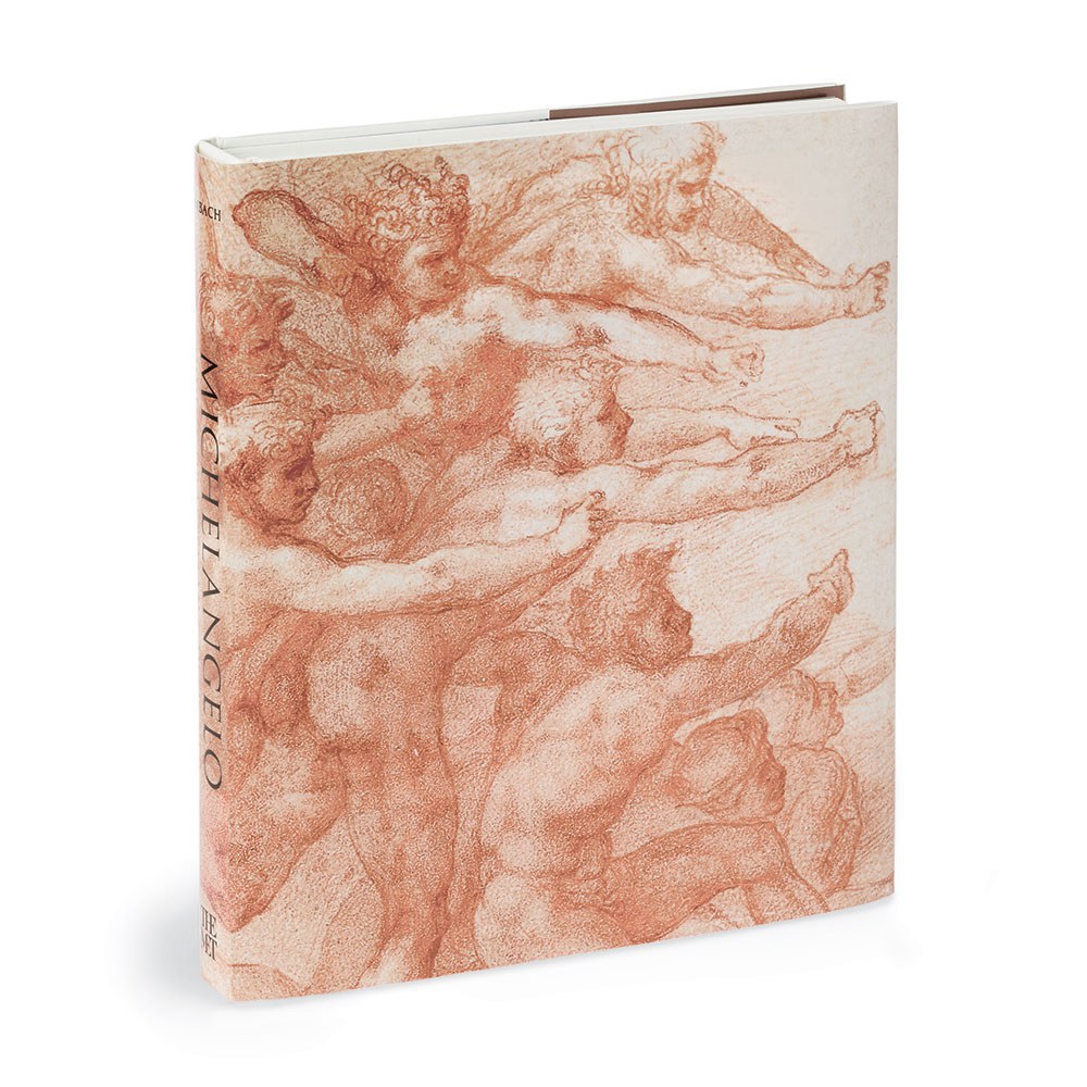 Michelangelo : divine draftsman & designer /
