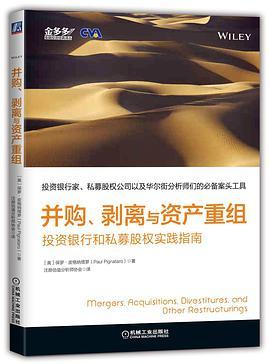 并购、剥离与资产重组 投资银行和私募股权实践指南