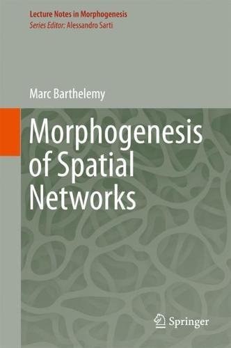 Morphogenesis of spatial networks /