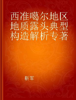 西准噶尔地区地质露头典型构造解析