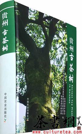 贵州古茶树