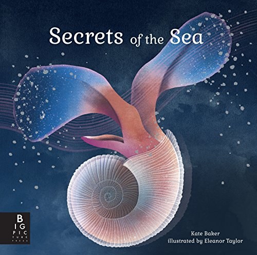 Secrets of the sea /