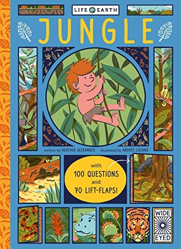 Jungle : with 100 questions and 70 lift-flaps! /