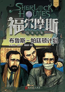 布鲁斯-帕廷顿计划