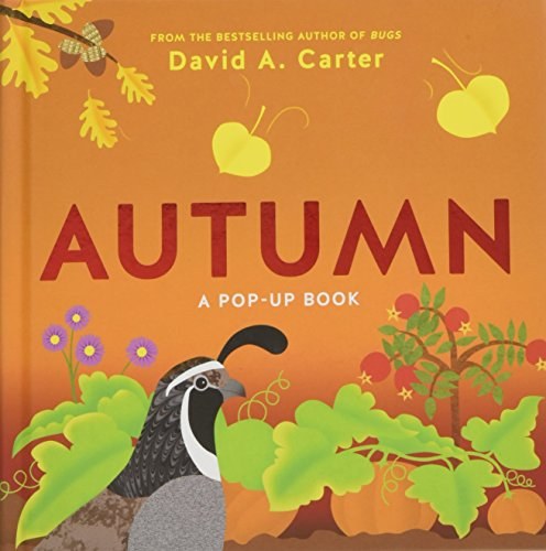 Autumn : a pop-up book /