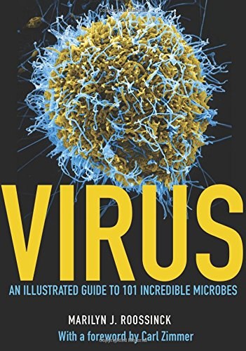 Virus /