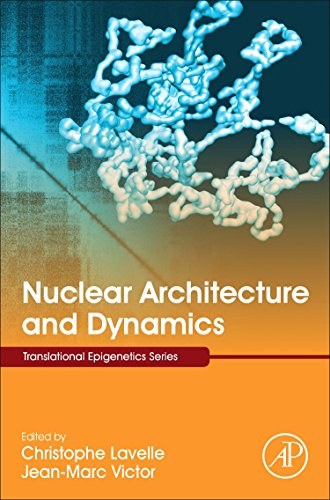 Nuclear architecture and dynamics.