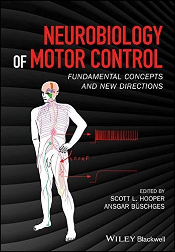 Neurobiology of motor control : fundamental concepts and new directions /