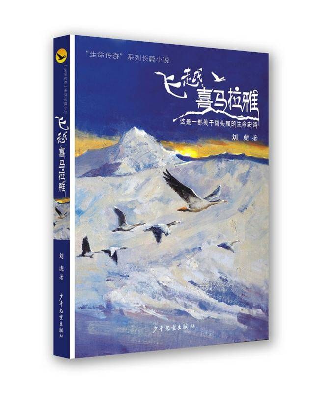 飞越喜马拉雅 这是一部关于斑头鹰的生命史诗