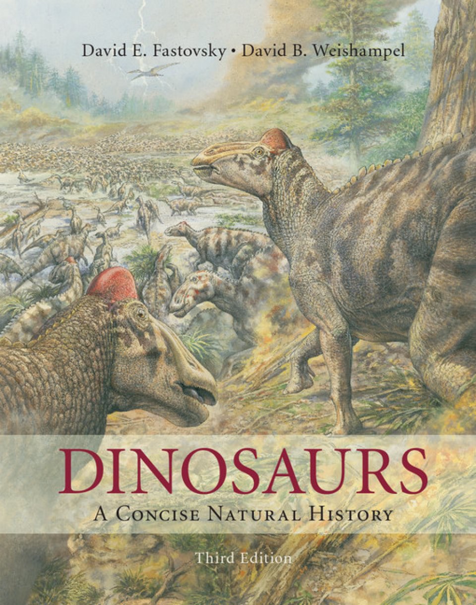 Dinosaurs : a concise natural history /