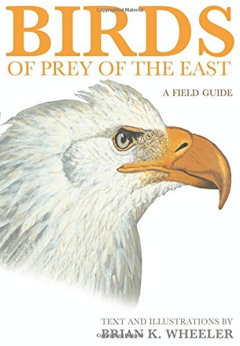 Birds of prey of the East : a field guide /