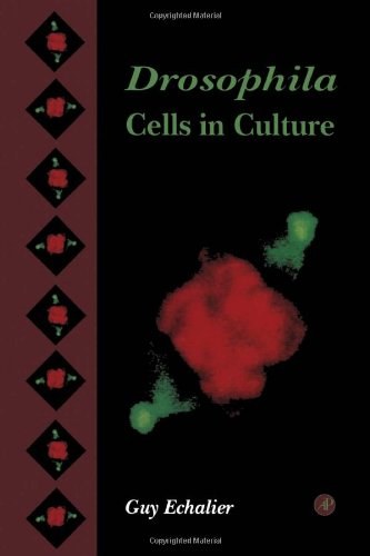 Drosophila cells in culture /