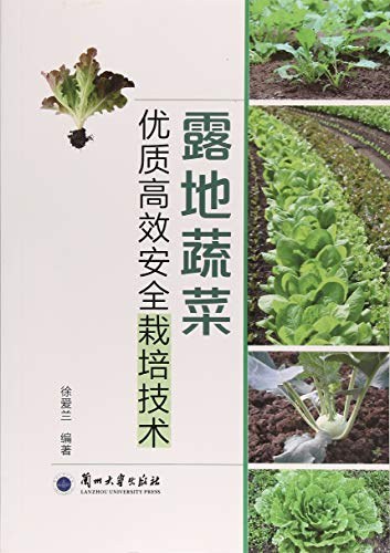 露地蔬菜优质高效安全栽培技术