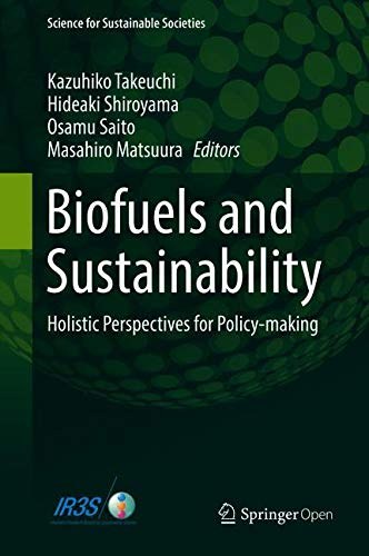 Biofuels and sustainability : holistic perspectives for policy-making /