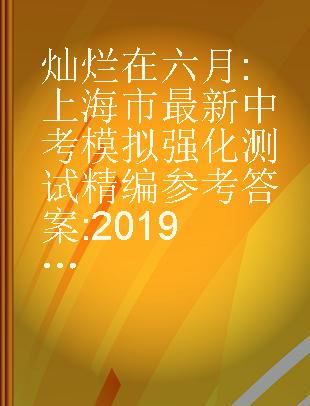 灿烂在六月 上海市最新中考模拟强化测试精编参考答案 2019版 化学