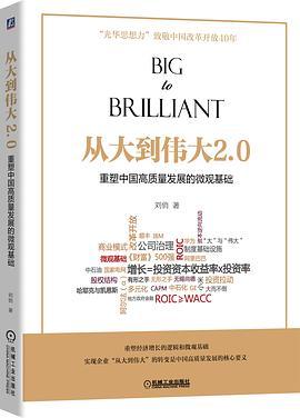 从大到伟大2.0 重塑中国高质量发展的微观基础