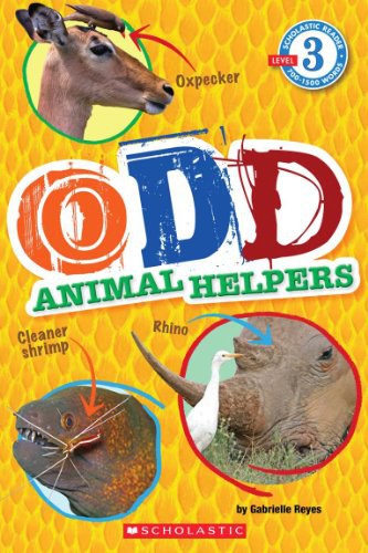 Odd animal helpers /