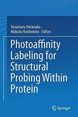 Photoaffinity labeling for structural probing within protein /