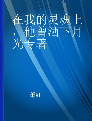 在我的灵魂上，他曾洒下月光