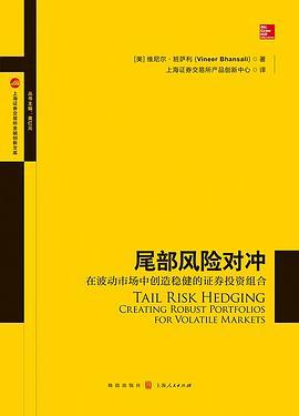 尾部风险对冲 在波动市场中创造稳健的证券投资组合 creating robust portfolios for volatile markets