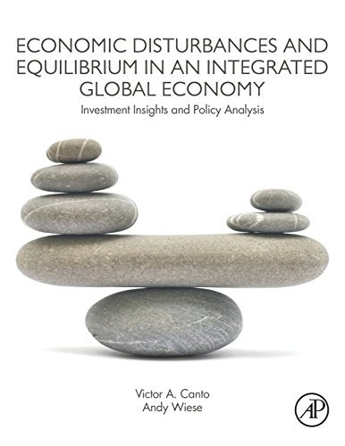 Economic disturbances and equilibrium in an integrated global economy : investment insights and policy analysis /