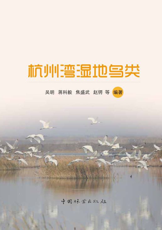 杭州湾湿地鸟类