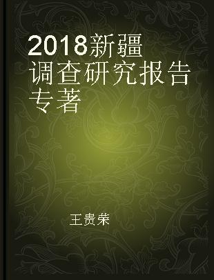 2018新疆调查研究报告